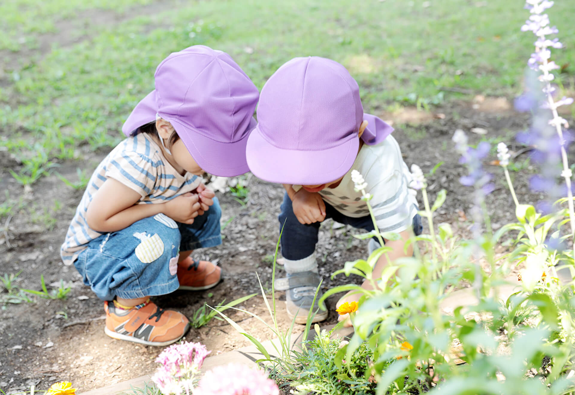 こどもヶ丘保育園 |  子どもひとりひとりの個性を尊いものとして認め、伸ばす保育